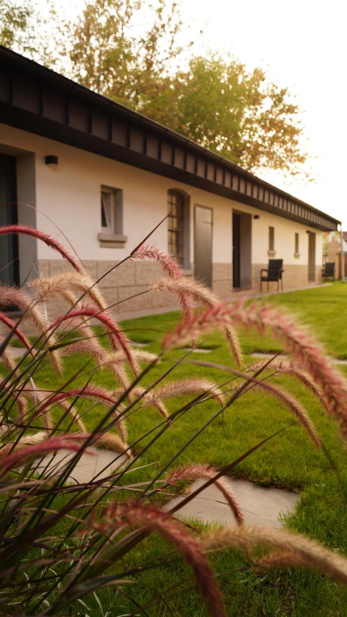 Remise Brasch - Zwischen Bahnhof Und Elbe Apartment วิทเทนเบิร์ก ภายนอก รูปภาพ